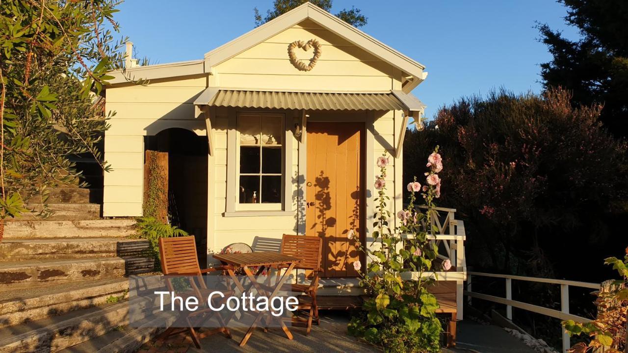 Bluff Hill Bed & Breakfast Napier Luaran gambar